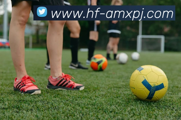 新葡京娱乐APP 封面图